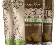 How CBD Can Help Your Pet With Common Health Issues
