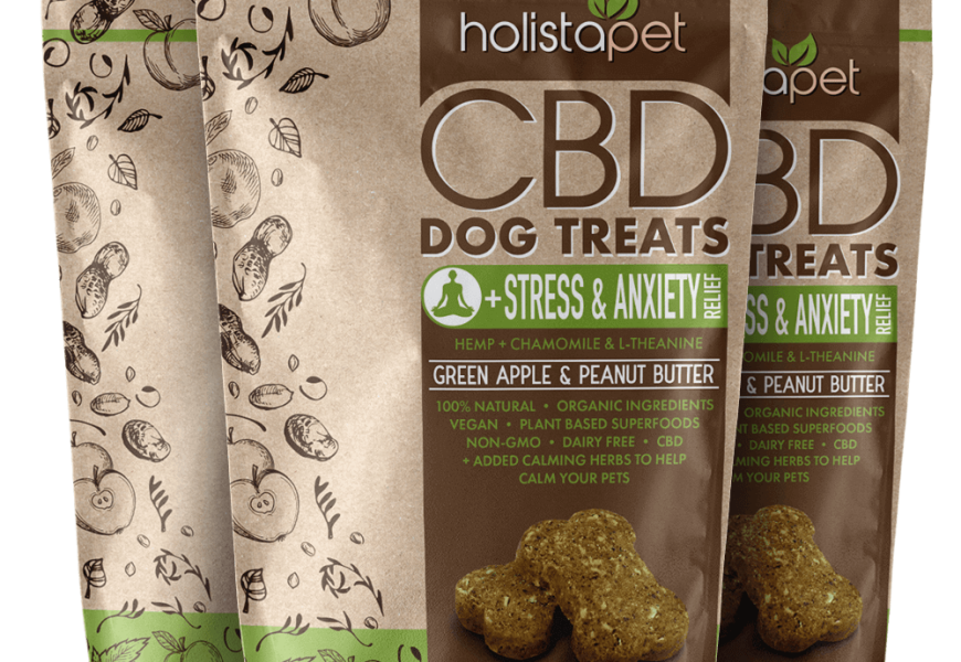 How CBD Can Help Your Pet With Common Health Issues