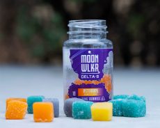 Exploring The Best Delta 10 Gummies For The Future