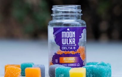 Exploring The Best Delta 10 Gummies For The Future