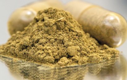 Bali Kratom: A Natural Solution for Managing Daily Stress